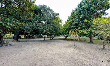 3 Hectare Farm House Resort with 5 Houses in Lubao Pampanga