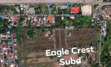 LOT FOR SALE! Dagupan Eagle Crest Villas