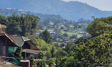 Along the Road and Jeepney line- LOT for SALE!