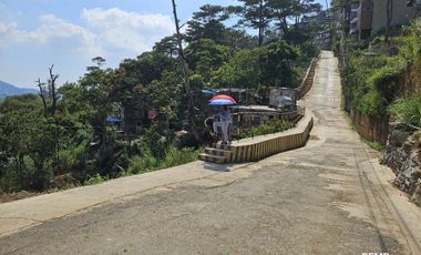 Along the Road and Jeepney line- LOT for SALE!