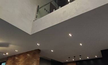 Modern industrial designer home