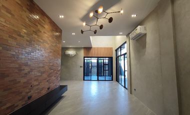 Modern industrial designer home