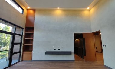 Modern industrial designer home