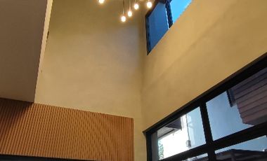 Modern industrial designer home