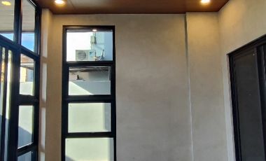 Modern industrial designer home