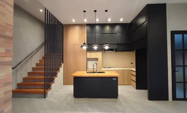 Modern industrial designer home