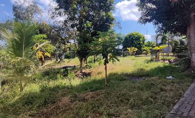 3,103 sqm 5 bedroom House For Sale In Bamban Tarlac City