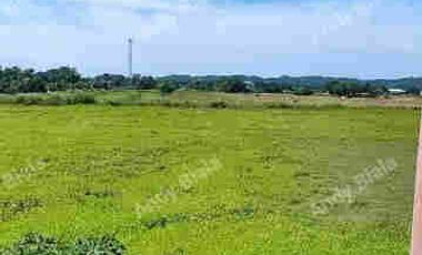 House and Lot FOR SALE at Candon City, Ilocos Sur