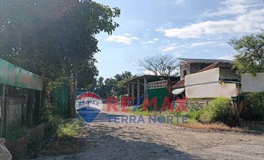 Property for Sale in Mapandan, Pangasinan