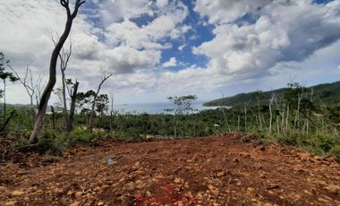 Subdivided Overlooking Lot For Sale in Puerto Princesa City, Palawan