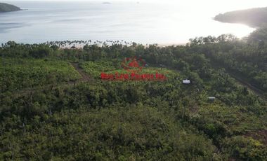 Subdivided Overlooking Lot For Sale in Puerto Princesa City, Palawan