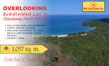 Subdivided Overlooking Lot For Sale in Puerto Princesa City, Palawan