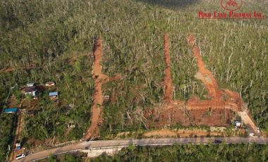 Subdivided Overlooking Lot For Sale in Puerto Princesa City, Palawan