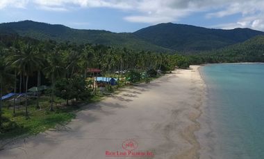 Subdivided Overlooking Lot For Sale in Puerto Princesa City, Palawan