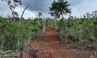Subdivided Overlooking Lot For Sale in Puerto Princesa City, Palawan