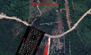 Subdivided Overlooking Lot For Sale in Puerto Princesa City, Palawan