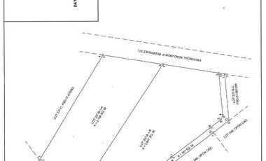 PROPERTY # 11318 LOT FOR RENT IN BRGY LOOC LAPULAPU CITY