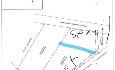 PROPERTY # 11318 LOT FOR RENT IN BRGY LOOC LAPULAPU CITY
