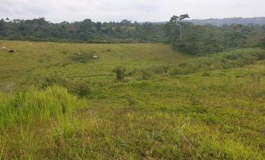 16.8 Hectares Farmland at Poblacion, Claveria, Misamis Oriental