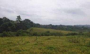 16.8 Hectares Farmland at Poblacion, Claveria, Misamis Oriental