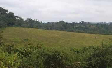 16.8 Hectares Farmland at Poblacion, Claveria, Misamis Oriental