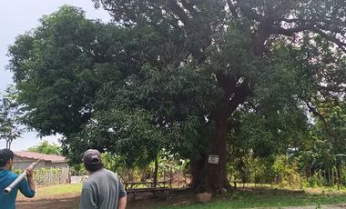 Residental Lot at Brgy. Townsite, Mariveles, Bataan