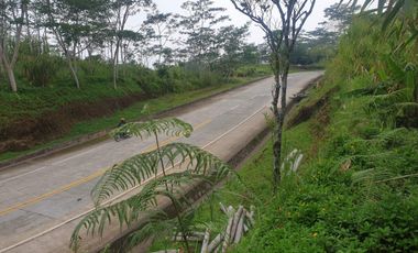 Lunotan, Gingoog 1,500 sq.m Ecotourism /Commercial Lot for Sale