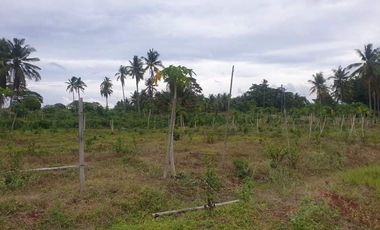 For Sale 3 Has Agri-Land at Amoros, El Salvador (3km fr highway)