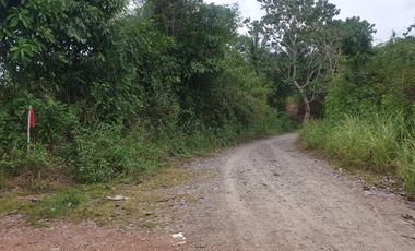 For Sale 3 Has Agri-Land at Amoros, El Salvador (3km fr highway)