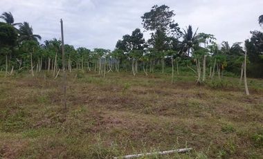 For Sale 3 Has Agri-Land at Amoros, El Salvador (3km fr highway)