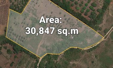 For Sale 3 Has Agri-Land at Amoros, El Salvador (3km fr highway)