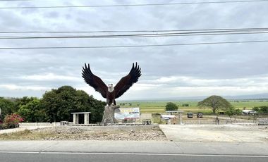 SUBDIVISION LOT ONLY OR HOUSE & LOT PACKAGE IN HUNTER HOMES IN SOLANA, CAGAYAN!