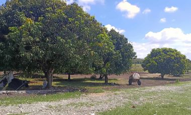 SUBDIVISION LOT ONLY OR HOUSE & LOT PACKAGE IN HUNTER HOMES IN SOLANA, CAGAYAN!