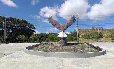 SUBDIVISION LOT ONLY OR HOUSE & LOT PACKAGE IN HUNTER HOMES IN SOLANA, CAGAYAN!
