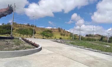 SUBDIVISION LOT ONLY OR HOUSE & LOT PACKAGE IN HUNTER HOMES IN SOLANA, CAGAYAN!