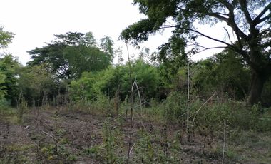 Near National Highway! Vacant Lot for Sale in Brgy. Carig, Tuguegarao City