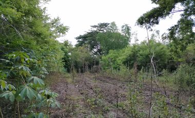 Near National Highway! Vacant Lot for Sale in Brgy. Carig, Tuguegarao City