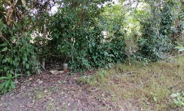Near National Highway! Vacant Lot for Sale in Brgy. Carig, Tuguegarao City