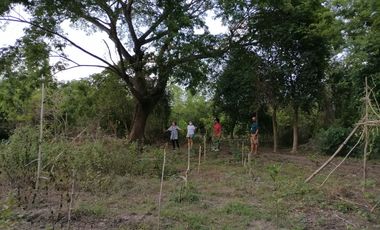 Near National Highway! Vacant Lot for Sale in Brgy. Carig, Tuguegarao City