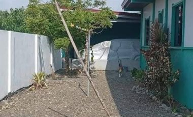 Fully Furnished House and Lot FOR SALE at Lapog/Sa Juan, Ilocos Sur