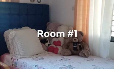 Fully Furnished House and Lot FOR SALE at Lapog/Sa Juan, Ilocos Sur