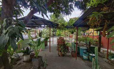 Rolling Hills Two- Storey H&L 6BR w/ pool, clean title in Bamban, Tarlac City