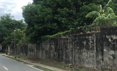 2.82 Hectares Land for Sale in Lipa, Batangas