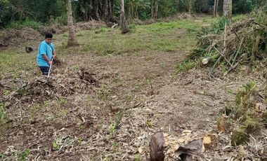 Tagaytay Lot for Sale, Sungay  East.