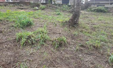 Tagaytay Lot for Sale, Sungay  East.