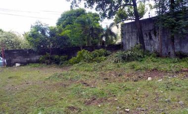 Enormous Vacant Lot for Sale in Sampaloc, Manila City