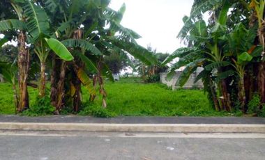 Enormous Vacant Lot for Sale in Sampaloc, Manila City