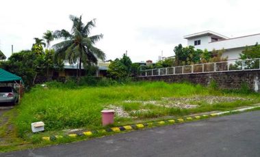 Large Vacant Lot for Sale City at Parañaque, Metro Manila
