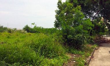 Large Vacant Lot for Sale City at Parañaque, Metro Manila