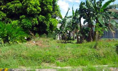 Large Vacant Lot for Sale City at Parañaque, Metro Manila